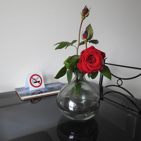 Tudor Lodge Motel Hawera Zewnętrze zdjęcie