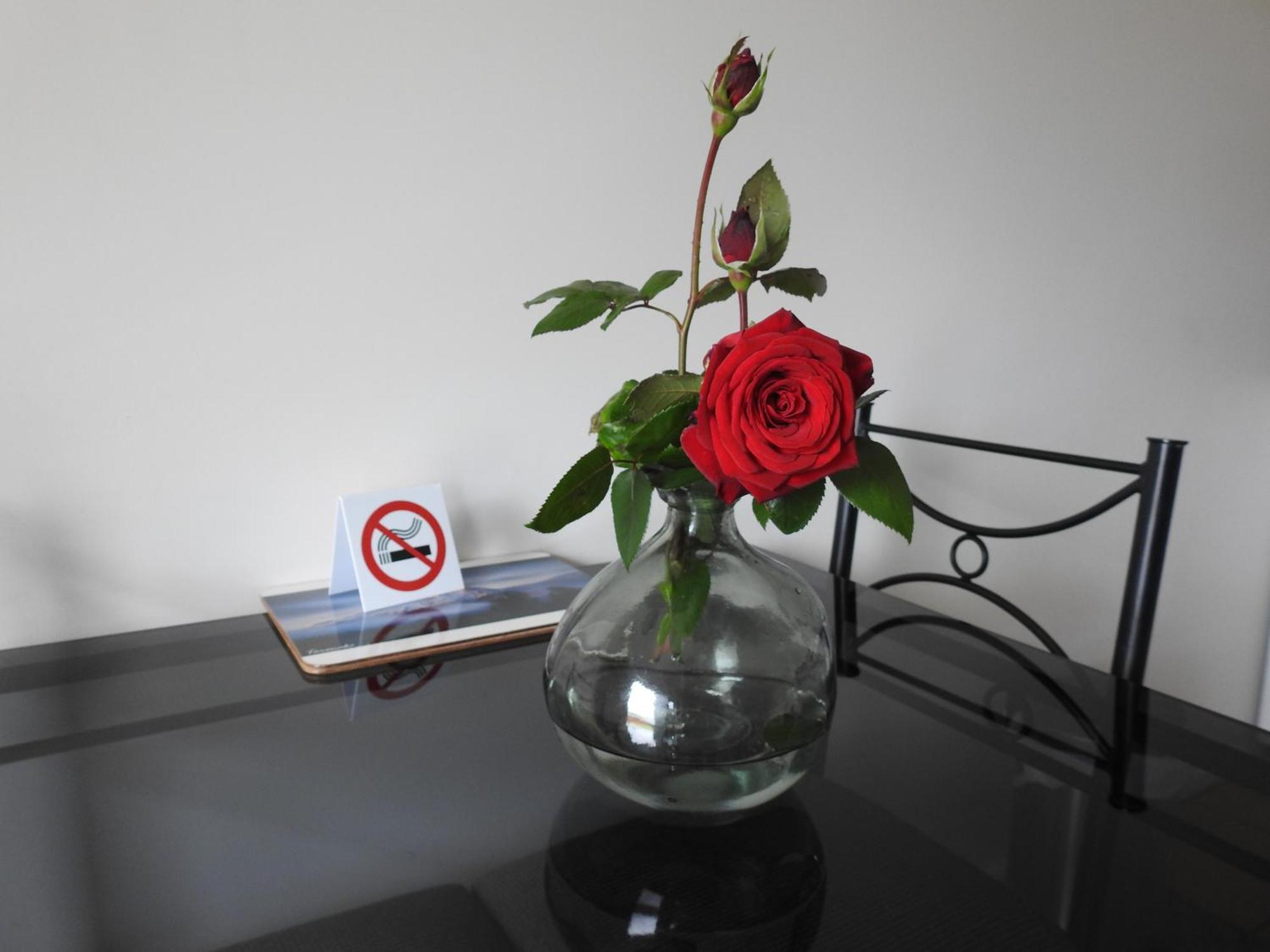 Tudor Lodge Motel Hawera Zewnętrze zdjęcie